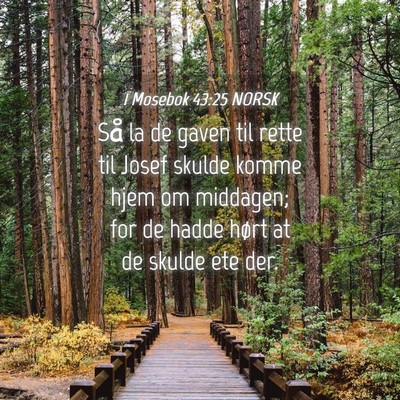 Picture 04 - 1 Mosebok 43:25 NORSK - Så la de gaven til rette til Josef skulde komme - Bible Verse Picture