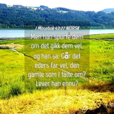 Picture 04 - 1 Mosebok 43:27 NORSK - Men han spurte dem om det gikk dem vel, og han - Bible Verse Picture