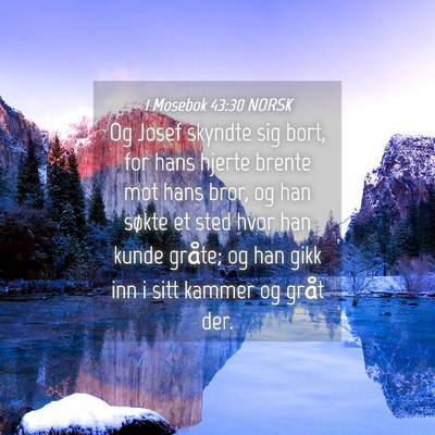 Picture 04 - 1 Mosebok 43:30 NORSK - Og Josef skyndte sig bort, for hans hjerte brente - Bible Verse Picture