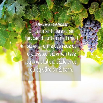 Picture 04 - 1 Mosebok 43:8 NORSK - Og Juda sa til Israel, sin far: Send gutten med - Bible Verse Picture