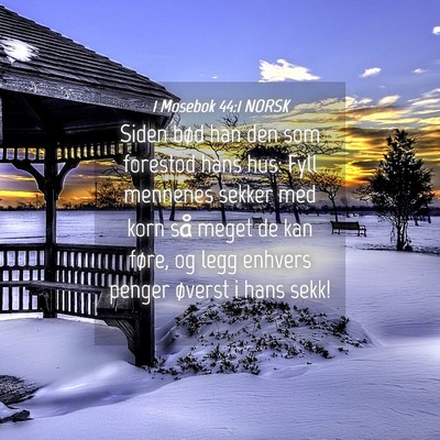 Picture 04 - 1 Mosebok 44:1 NORSK - Siden bød han den som forestod hans hus: Fyll - Bible Verse Picture