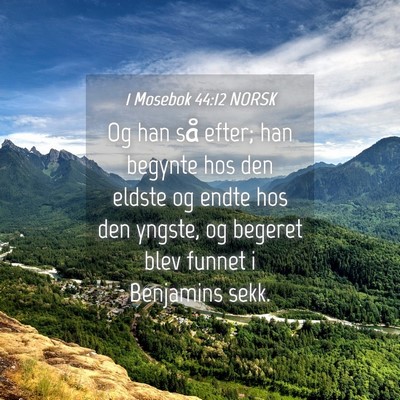 Picture 04 - 1 Mosebok 44:12 NORSK - Og han så efter; han begynte hos den eldste og - Bible Verse Picture