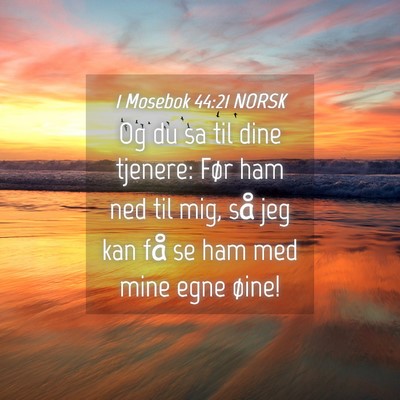 Picture 04 - 1 Mosebok 44:21 NORSK - Og du sa til dine tjenere: Før ham ned til mig, - Bible Verse Picture