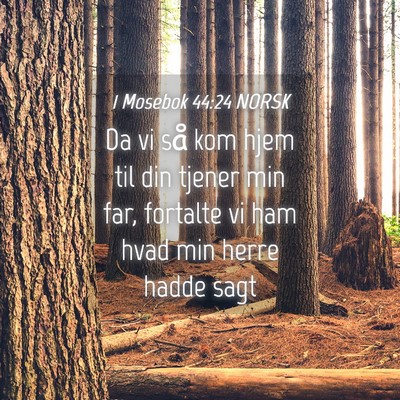 Picture 04 - 1 Mosebok 44:24 NORSK - Da vi så kom hjem til din tjener min far, - Bible Verse Picture