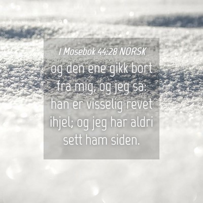 Picture 04 - 1 Mosebok 44:28 NORSK - og den ene gikk bort fra mig, og jeg sa: han er - Bible Verse Picture