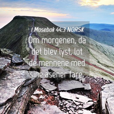 Picture 04 - 1 Mosebok 44:3 NORSK - Om morgenen, da det blev lyst, lot de mennene med - Bible Verse Picture