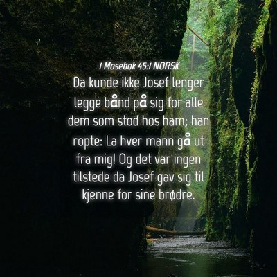 Picture 04 - 1 Mosebok 45:1 NORSK - Da kunde ikke Josef lenger legge bånd på sig - Bible Verse Picture