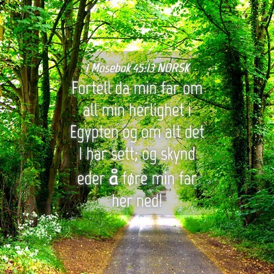 Picture 04 - 1 Mosebok 45:13 NORSK - Fortell da min far om all min herlighet i Egypten - Bible Verse Picture