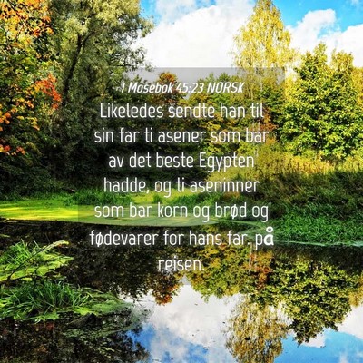 Picture 04 - 1 Mosebok 45:23 NORSK - Likeledes sendte han til sin far ti asener som - Bible Verse Picture