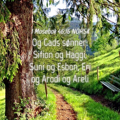 Picture 04 - 1 Mosebok 46:16 NORSK - Og Gads sønner: Sifion og Haggi, Suni og Esbon, - Bible Verse Picture