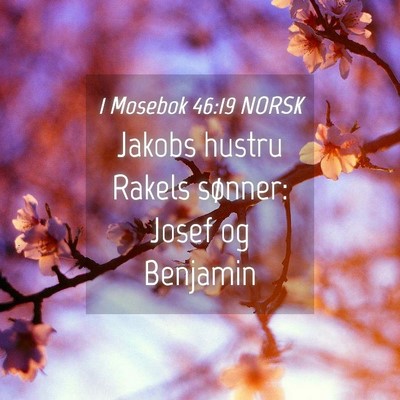 Picture 04 - 1 Mosebok 46:19 NORSK - Jakobs hustru Rakels sønner: Josef og - Bible Verse Picture