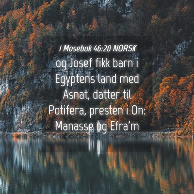 Picture 04 - 1 Mosebok 46:20 NORSK - og Josef fikk barn i Egyptens land med Asnat, - Bible Verse Picture