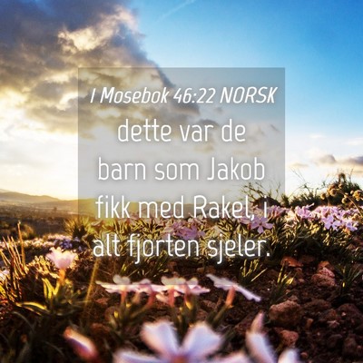 Picture 04 - 1 Mosebok 46:22 NORSK - dette var de barn som Jakob fikk med Rakel, i alt - Bible Verse Picture