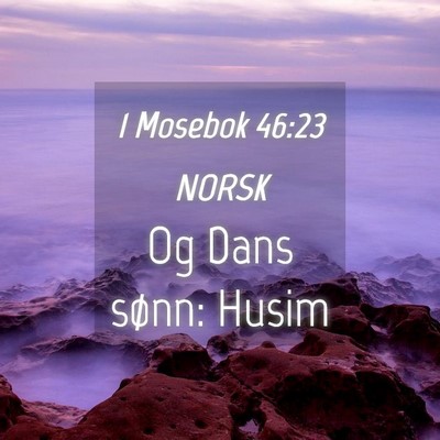 Picture 04 - 1 Mosebok 46:23 NORSK - Og Dans sønn: - Bible Verse Picture