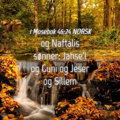 Picture 04 - 1 Mosebok 46:24 NORSK - og Naftalis sønner: Jahse'l og Guni og Jeser og - Bible Verse Picture