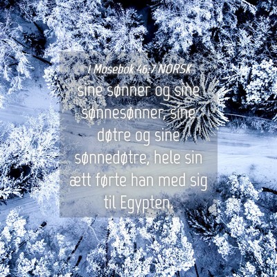 Picture 04 - 1 Mosebok 46:7 NORSK - sine sønner og sine sønnesønner, sine døtre - Bible Verse Picture