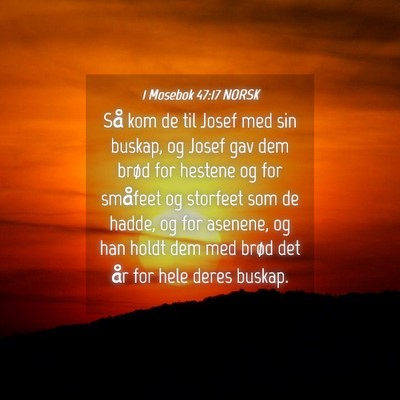 Picture 04 - 1 Mosebok 47:17 NORSK - Så kom de til Josef med sin buskap, og Josef gav - Bible Verse Picture