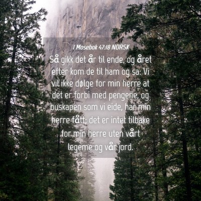 Picture 04 - 1 Mosebok 47:18 NORSK - Så gikk det år til ende, og året efter kom de - Bible Verse Picture