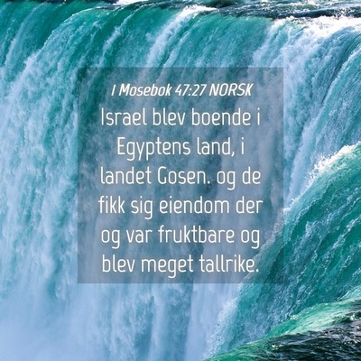 Picture 04 - 1 Mosebok 47:27 NORSK - Israel blev boende i Egyptens land, i landet - Bible Verse Picture
