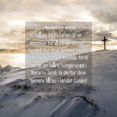 Picture 04 - 1 Mosebok 47:4 NORSK - Så sa de til Farao: Vi er kommet for å bo en - Bible Verse Picture