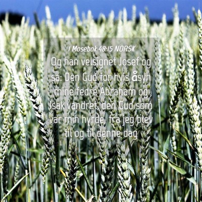 Picture 04 - 1 Mosebok 48:15 NORSK - Og han velsignet Josef og sa: Den Gud for hvis - Bible Verse Picture