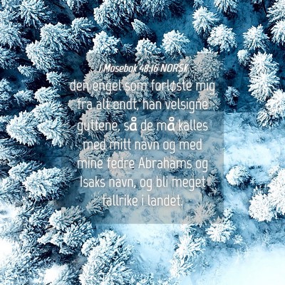 Picture 04 - 1 Mosebok 48:16 NORSK - den engel som forløste mig fra alt ondt, han - Bible Verse Picture