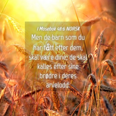 Picture 04 - 1 Mosebok 48:6 NORSK - Men de barn som du har fått efter dem, skal - Bible Verse Picture