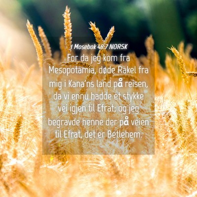 Picture 04 - 1 Mosebok 48:7 NORSK - For da jeg kom fra Mesopotamia, døde Rakel fra - Bible Verse Picture
