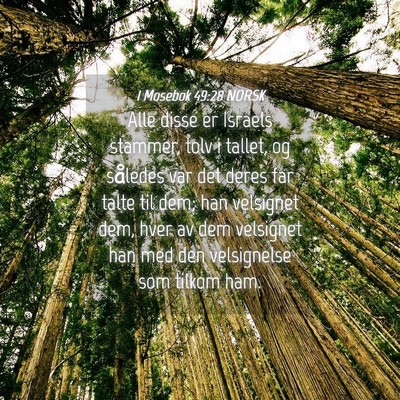 Picture 04 - 1 Mosebok 49:28 NORSK - Alle disse er Israels stammer, tolv i tallet, og - Bible Verse Picture