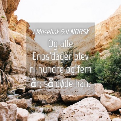 Picture 04 - 1 Mosebok 5:11 NORSK - Og alle Enos'dager blev ni hundre og fem år; så - Bible Verse Picture