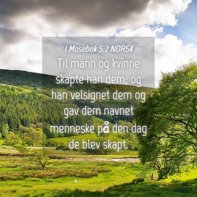 Picture 04 - 1 Mosebok 5:2 NORSK - Til mann og kvinne skapte han dem; og han - Bible Verse Picture