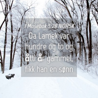 Picture 04 - 1 Mosebok 5:28 NORSK - Da Lamek var hundre og to og åtti år gammel, - Bible Verse Picture