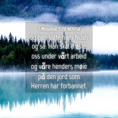 Picture 04 - 1 Mosebok 5:29 NORSK - og han kalte ham Noah og sa: Han skal trøste oss - Bible Verse Picture