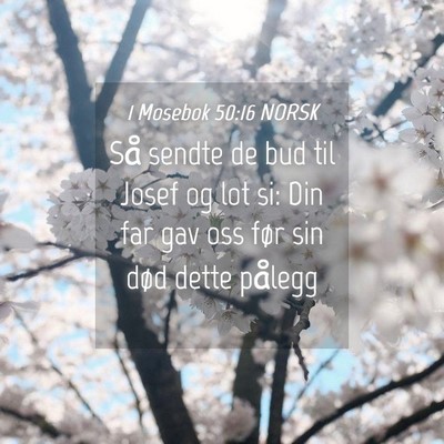 Picture 04 - 1 Mosebok 50:16 NORSK - Så sendte de bud til Josef og lot si: Din far - Bible Verse Picture