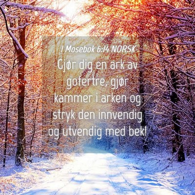 Picture 04 - 1 Mosebok 6:14 NORSK - Gjør dig en ark av gofertre, gjør kammer i - Bible Verse Picture