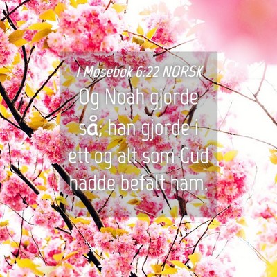 Picture 04 - 1 Mosebok 6:22 NORSK - Og Noah gjorde så; han gjorde i ett og alt som - Bible Verse Picture