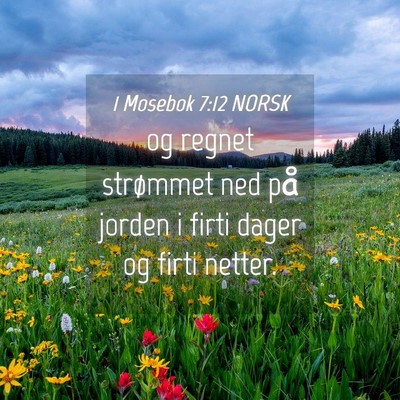 Picture 04 - 1 Mosebok 7:12 NORSK - og regnet strømmet ned på jorden i firti dager - Bible Verse Picture