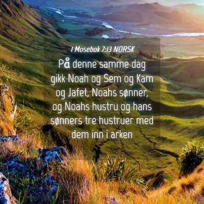 Picture 04 - 1 Mosebok 7:13 NORSK - På denne samme dag gikk Noah og Sem og Kam og - Bible Verse Picture