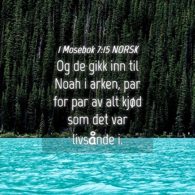 Picture 04 - 1 Mosebok 7:15 NORSK - Og de gikk inn til Noah i arken, par for par av - Bible Verse Picture