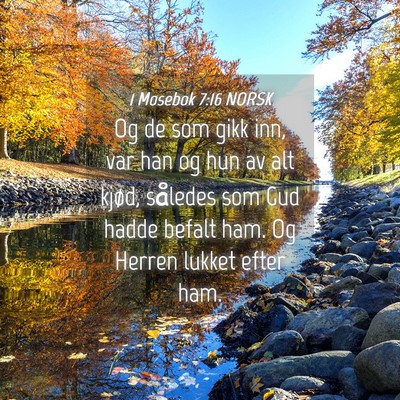 Picture 04 - 1 Mosebok 7:16 NORSK - Og de som gikk inn, var han og hun av alt kjød, - Bible Verse Picture
