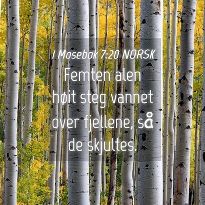 Picture 04 - 1 Mosebok 7:20 NORSK - Femten alen høit steg vannet over fjellene, så - Bible Verse Picture