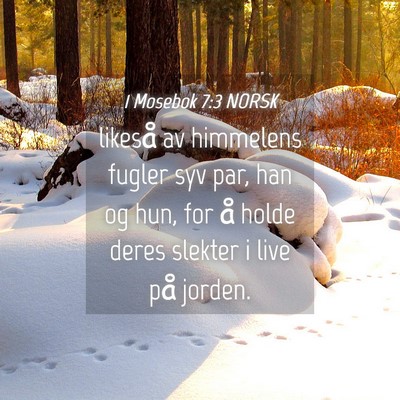 Picture 04 - 1 Mosebok 7:3 NORSK - likeså av himmelens fugler syv par, han og hun, - Bible Verse Picture