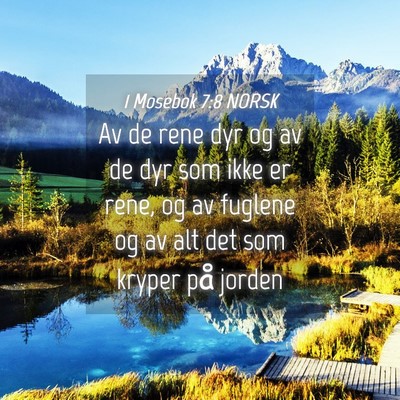 Picture 04 - 1 Mosebok 7:8 NORSK - Av de rene dyr og av de dyr som ikke er rene, og - Bible Verse Picture
