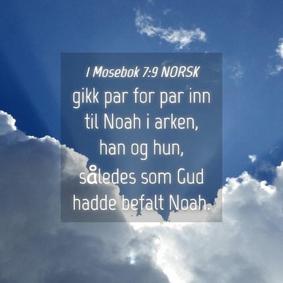Picture 04 - 1 Mosebok 7:9 NORSK - gikk par for par inn til Noah i arken, han og - Bible Verse Picture