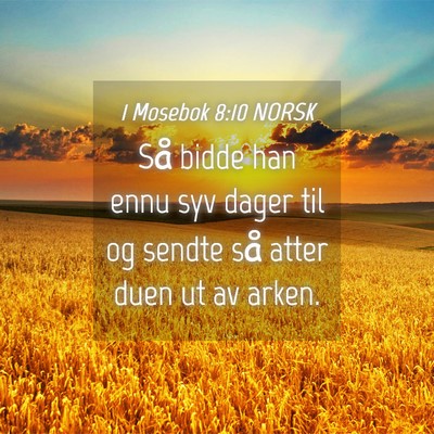 Picture 04 - 1 Mosebok 8:10 NORSK - Så bidde han ennu syv dager til og sendte så - Bible Verse Picture