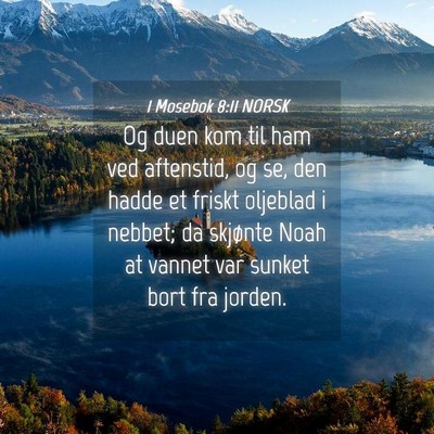 Picture 04 - 1 Mosebok 8:11 NORSK - Og duen kom til ham ved aftenstid, og se, den - Bible Verse Picture