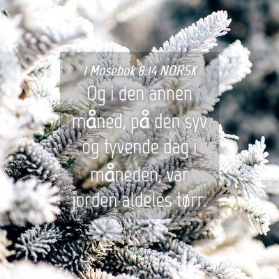 Picture 04 - 1 Mosebok 8:14 NORSK - Og i den annen måned, på den syv og tyvende dag - Bible Verse Picture
