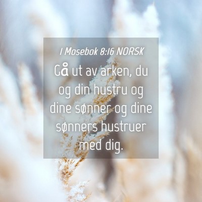Picture 04 - 1 Mosebok 8:16 NORSK - Gå ut av arken, du og din hustru og dine sønner - Bible Verse Picture