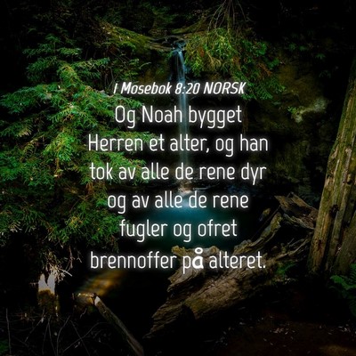 Picture 04 - 1 Mosebok 8:20 NORSK - Og Noah bygget Herren et alter, og han tok av - Bible Verse Picture