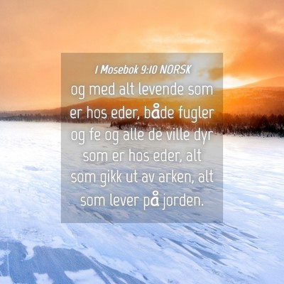 Picture 04 - 1 Mosebok 9:10 NORSK - og med alt levende som er hos eder, både fugler - Bible Verse Picture